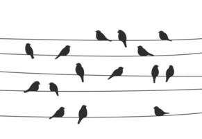 Flock of birds on power lines, silhouettes vector