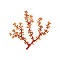 Sea fan-coral isolated soft anemone seaweed vector