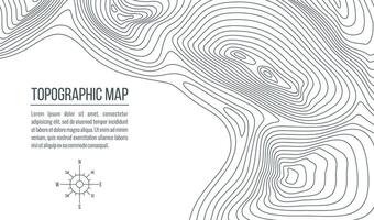 Topographic map. Grid, relief contour lines vector