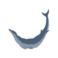 Basilosaurus dinosaur ancient crocodile reptile vector