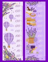 Height chart ruler with lavender, growth meter vector