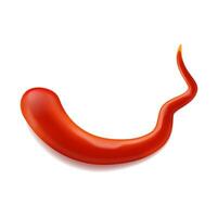 Curve tomato sauce stain or splash, red splat vector
