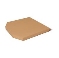 Square cardboard box for pizza delivery, package vector