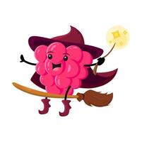 Cartoon raspberry berry wizard, mage or magician vector