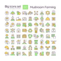 Mushroom farming and cultivation RGB color icons set. Mushroom growing and harvesting. Fungiculture. Isolated illustrations. Simple filled line drawings collection. Editable stroke vector