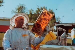 Beekeepers checking honey on the beehive frame in the field. Small business owners on apiary. Natural healthy food produceris working with bees and beehives on the apiary. photo