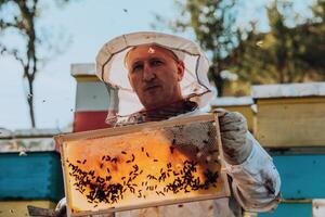 Beekeeper checking honey on the beehive frame in the field. Small business owner on apiary. Natural healthy food produceris working with bees and beehives on the apiary. photo