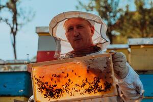 Beekeeper checking honey on the beehive frame in the field. Small business owner on apiary. Natural healthy food produceris working with bees and beehives on the apiary. photo