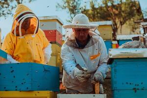 Beekeepers checking honey on the beehive frame in the field. Small business owners on apiary. Natural healthy food produceris working with bees and beehives on the apiary. photo