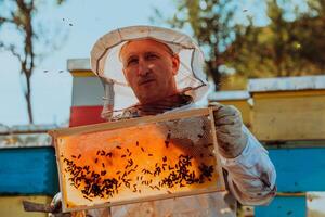 Beekeeper checking honey on the beehive frame in the field. Small business owner on apiary. Natural healthy food produceris working with bees and beehives on the apiary. photo