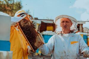 Beekeepers checking honey on the beehive frame in the field. Small business owners on apiary. Natural healthy food produceris working with bees and beehives on the apiary. photo