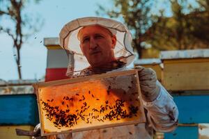 Beekeeper checking honey on the beehive frame in the field. Small business owner on apiary. Natural healthy food produceris working with bees and beehives on the apiary. photo