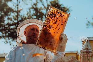 Beekeeper checking honey on the beehive frame in the field. Small business owner on apiary. Natural healthy food produceris working with bees and beehives on the apiary. photo