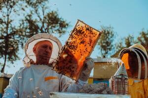 Beekeepers checking honey on the beehive frame in the field. Small business owners on apiary. Natural healthy food produceris working with bees and beehives on the apiary. photo