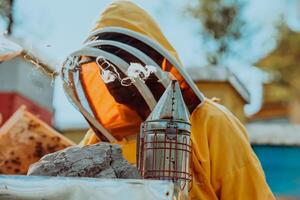 Beekeeper checking honey on the beehive frame in the field. Beekeeper on apiary. Beekeeper is working with bees and beehives on the apiary. photo