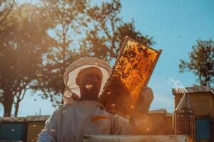Beekeeper checking honey on the beehive frame in the field. Small business owner on apiary. Natural healthy food produceris working with bees and beehives on the apiary. photo