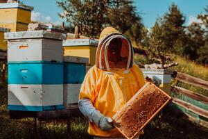 Beekeeper checking honey on the beehive frame in the field. Small business owner on apiary. Natural healthy food produceris working with bees and beehives on the apiary. photo