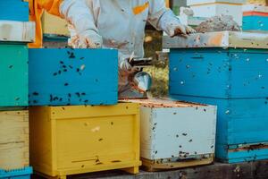 Beekeepers checking honey on the beehive frame in the field. Small business owners on apiary. Natural healthy food produceris working with bees and beehives on the apiary. photo