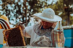 Beekeepers check the honey on the hive frame in the field. Beekeepers check honey quality and honey parasites. A beekeeper works with bees and beehives in an apiary. photo