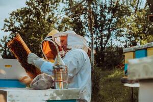 Beekeepers checking honey on the beehive frame in the field. Small business owners on apiary. Natural healthy food produceris working with bees and beehives on the apiary. photo