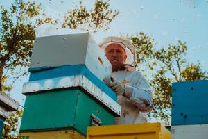 Beekeeper checking honey on the beehive frame in the field. Natural healthy food produceron apiary. Small business owneris working with bees and beehives on the apiary. photo
