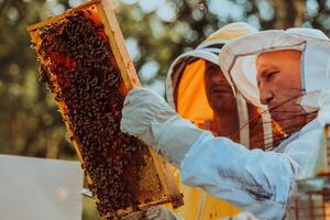 Beekeepers checking honey on the beehive frame in the field. Small business owners on apiary. Natural healthy food produceris working with bees and beehives on the apiary. photo