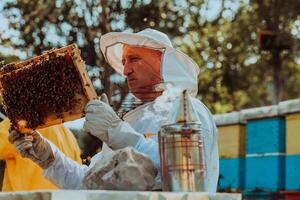 Beekeeper checking honey on the beehive frame in the field. Beekeeper on apiary. Beekeeper is working with bees and beehives on the apiary. photo