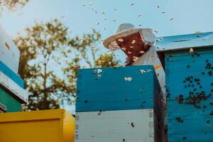 Beekeeper checking honey on the beehive frame in the field. Natural healthy food produceron apiary. Small business owneris working with bees and beehives on the apiary. photo