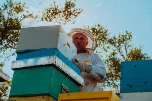 Beekeeper checking honey on the beehive frame in the field. Natural healthy food produceron apiary. Small business owneris working with bees and beehives on the apiary. photo