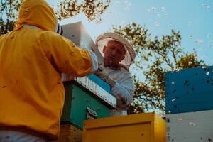 Beekeepers checking honey on the beehive frame in the field. Small business owners on apiary. Natural healthy food produceris working with bees and beehives on the apiary. photo