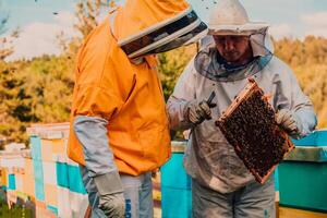 Beekeepers checking honey on the beehive frame in the field. Small business owners on apiary. Natural healthy food produceris working with bees and beehives on the apiary. photo