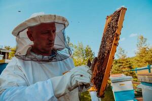 Beekeeper checking honey on the beehive frame in the field. Small business owner on apiary. Natural healthy food produceris working with bees and beehives on the apiary. photo