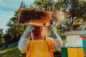 Beekeepers check the honey on the hive frame in the field. Beekeepers check honey quality and honey parasites. A beekeeper works with bees and beehives in an apiary. photo