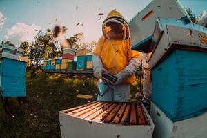 Beekeepers checking honey on the beehive frame in the field. Small business owners on apiary. Natural healthy food produceris working with bees and beehives on the apiary. photo