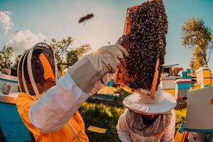 Beekeepers checking honey on the beehive frame in the field. Small business owners on apiary. Natural healthy food produceris working with bees and beehives on the apiary. photo
