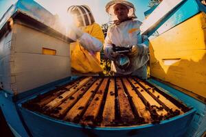 Beekeepers checking honey on the beehive frame in the field. Small business owners on apiary. Natural healthy food produceris working with bees and beehives on the apiary. photo