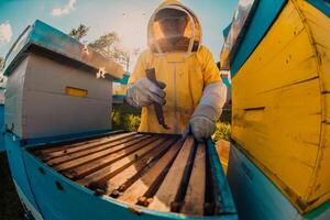 Beekeeper checking honey on the beehive frame in the field. Small business owner on apiary. Natural healthy food produceris working with bees and beehives on the apiary. photo