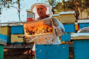 Beekeeper checking honey on the beehive frame in the field. Small business owner on apiary. Natural healthy food produceris working with bees and beehives on the apiary. photo