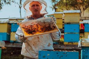 Beekeeper checking honey on the beehive frame in the field. Small business owner on apiary. Natural healthy food produceris working with bees and beehives on the apiary. photo