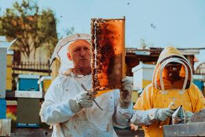 Beekeepers checking honey on the beehive frame in the field. Small business owners on apiary. Natural healthy food produceris working with bees and beehives on the apiary. photo