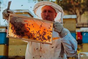 Beekeeper checking honey on the beehive frame in the field. Small business owner on apiary. Natural healthy food produceris working with bees and beehives on the apiary. photo
