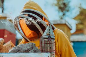 Beekeeper checking honey on the beehive frame in the field. Beekeeper on apiary. Beekeeper is working with bees and beehives on the apiary. photo