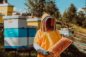 Beekeeper checking honey on the beehive frame in the field. Small business owner on apiary. Natural healthy food produceris working with bees and beehives on the apiary. photo
