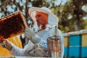 Beekeeper checking honey on the beehive frame in the field. Beekeeper on apiary. Beekeeper is working with bees and beehives on the apiary. photo