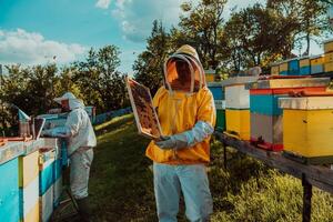Beekeepers checking honey on the beehive frame in the field. Small business owners on apiary. Natural healthy food produceris working with bees and beehives on the apiary. photo