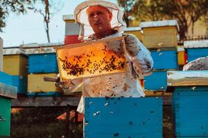 Beekeeper checking honey on the beehive frame in the field. Small business owner on apiary. Natural healthy food produceris working with bees and beehives on the apiary. photo