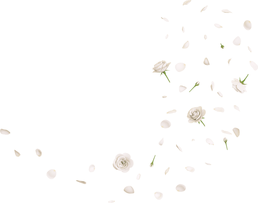 Falling Flowers PNGs for Free Download