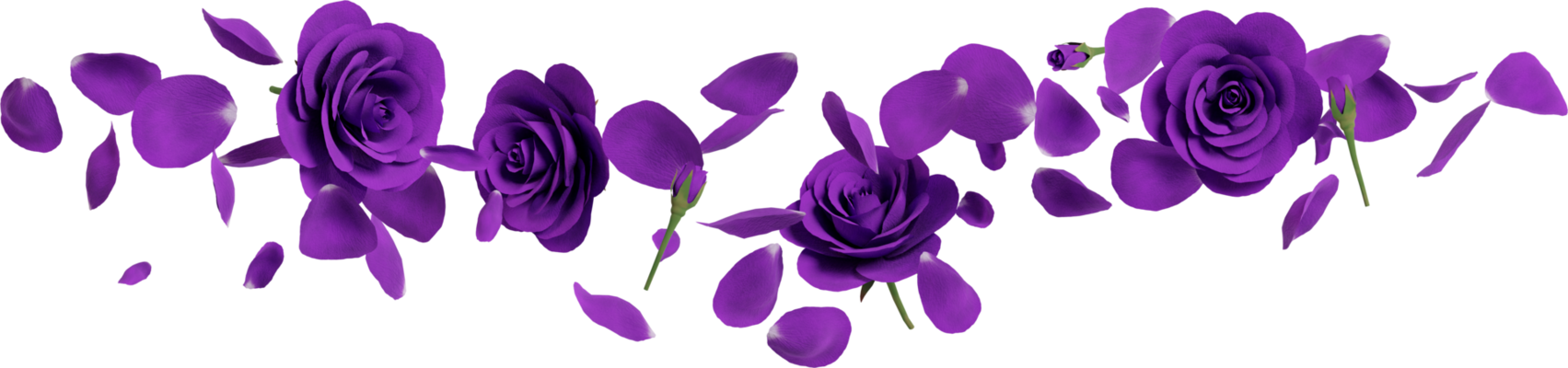 Purple Flowers PNGs for Free Download