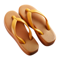 Straw Flip Flops 3d Image png