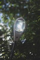 a street light is on a pole in front of a tree photo